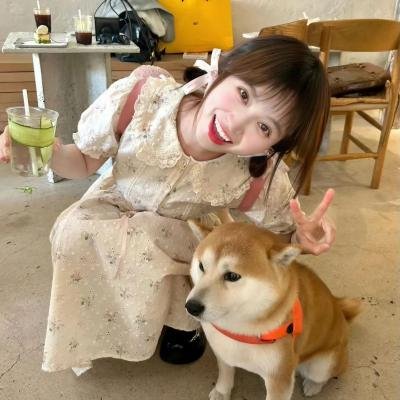 盛总已老实，夫人求放过